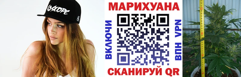 Купить закладки  Багратионовск  Бошки марихуана SATIVA & INDICA 